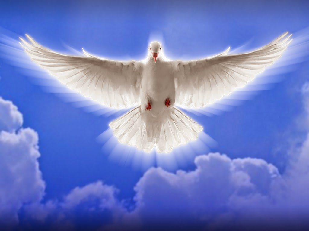 Holy Mass images...: HOLY SPIRIT